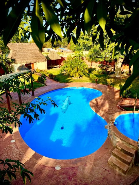 Pool view, Swimming pool