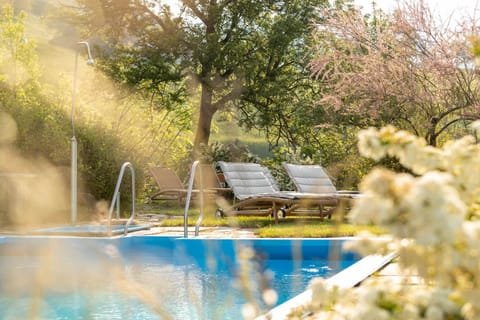 Garden, Pool view, Swimming pool