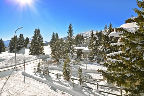 Balcony/Terrace, Garden view, Street view