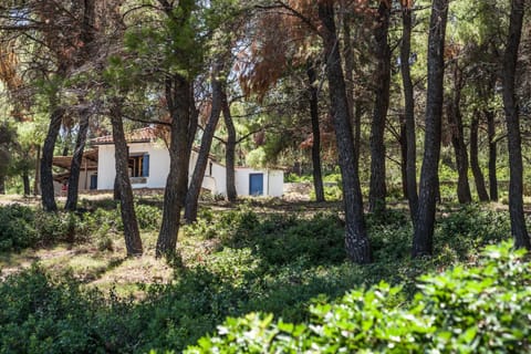 Property building, Natural landscape, Garden