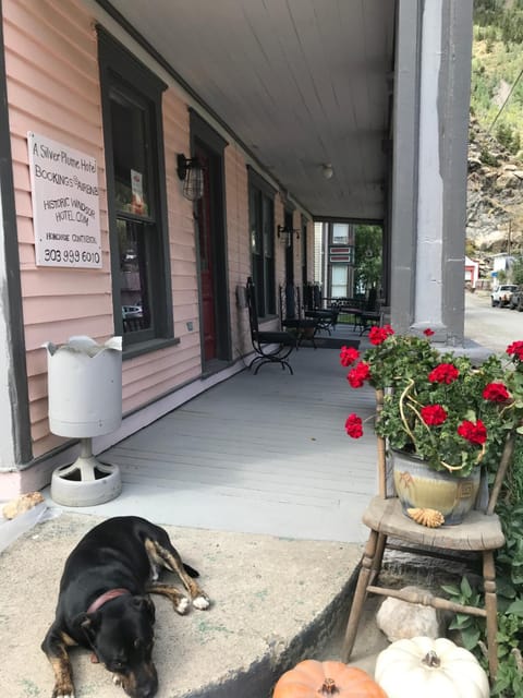 Historic Windsor Bed and Breakfast in Silver Plume