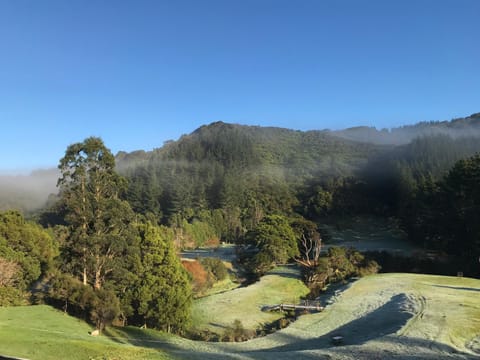 Natural landscape, Garden view