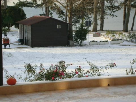 Area and facilities