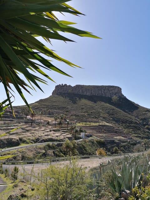 Neighbourhood, Natural landscape, Hiking