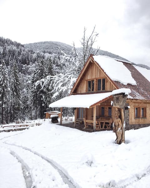 Day, Winter, Garden view, Mountain view