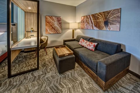 SpringHill Suites by Marriott Amarillo Hotel in Amarillo