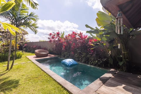 Day, Pool view, Swimming pool, Swimming pool