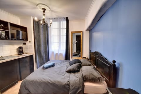Les Petits Boudoirs de Savoie Condo in Chambery