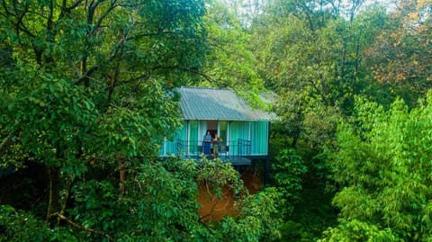 Wayanad Wild - Rainforest Lodge by CGH Earth Resort in Kerala