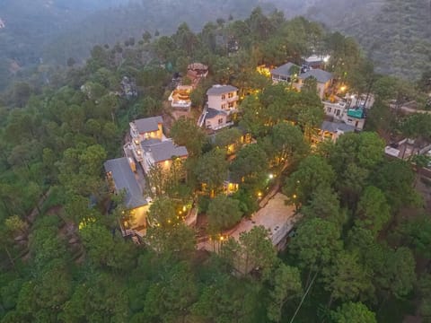 Jungle Lodge Resort Resort in Himachal Pradesh