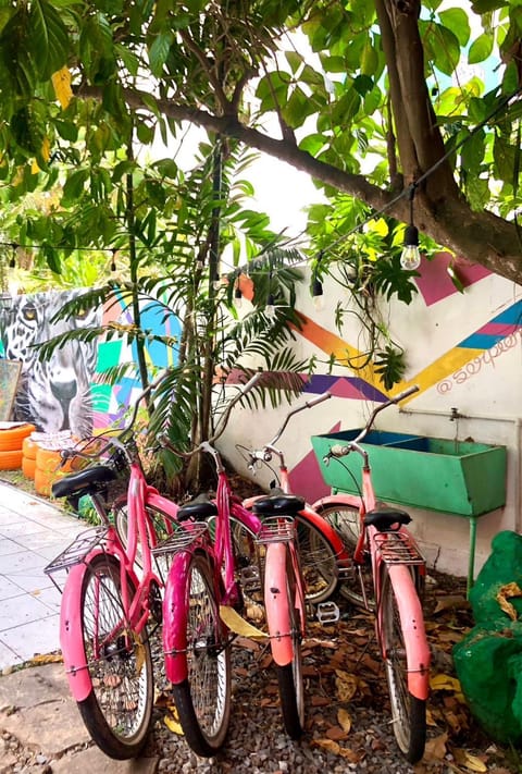 Zebulo Hostel Hostel in Panama City, Panama