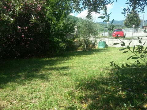 Garden, Garden view, Garden view