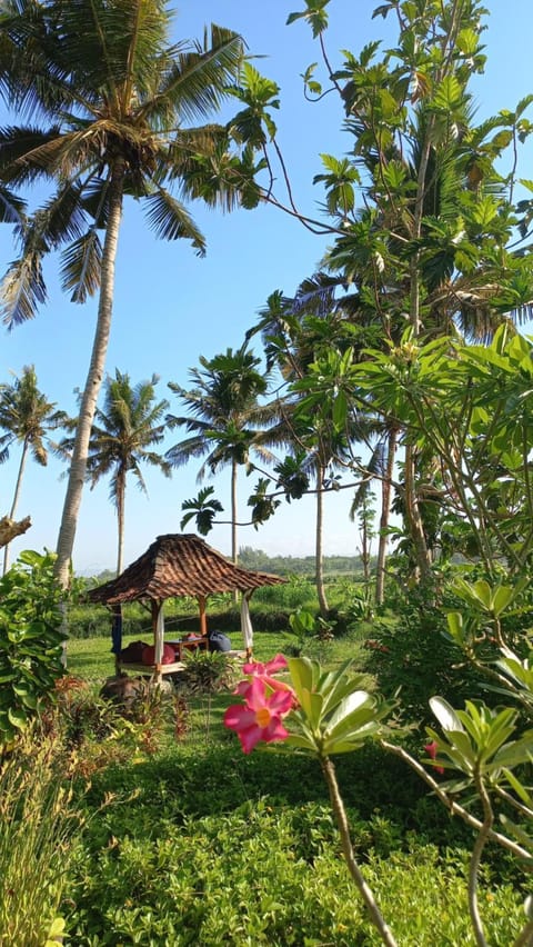 Restaurant/places to eat, Garden