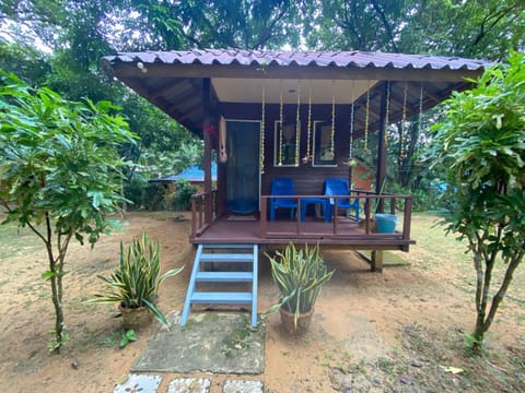 Eco Bungalow Bed and Breakfast in Ko Phayam