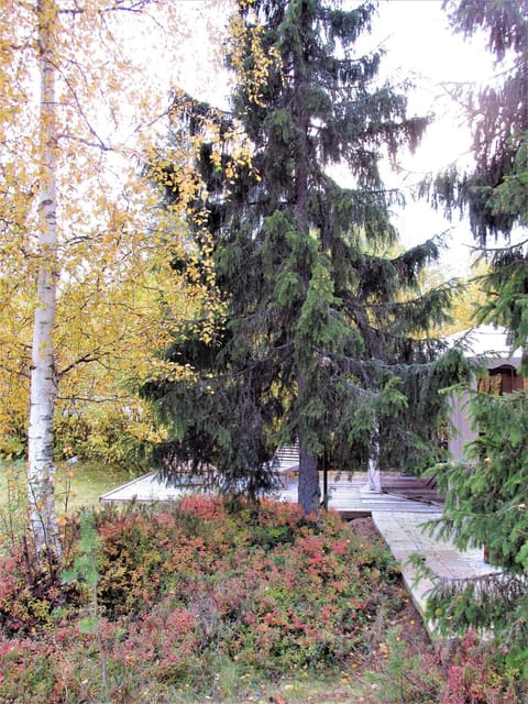 Scandinavian Dream Cottages Vikajarvi- Rovaniemi Landhaus in Rovaniemi