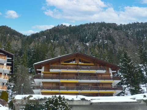 Apartment Parc C013 by Interhome Apartment in Canton of Valais