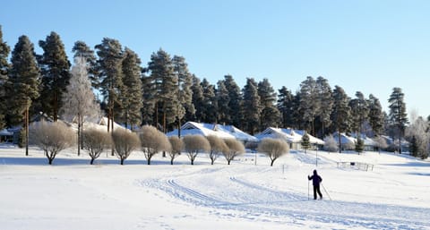 Skiing