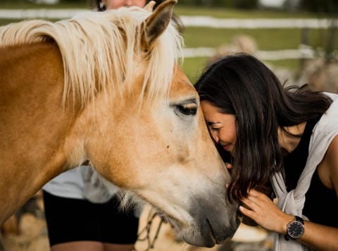 Day, People, Animals