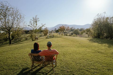 Garden, Garden view, group of guests