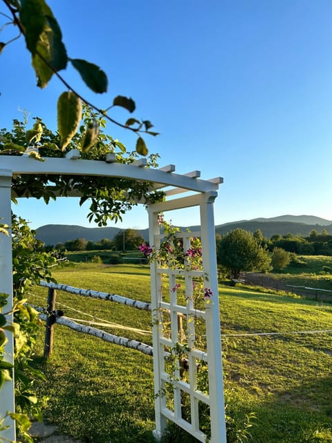 Day, Natural landscape, Mountain view