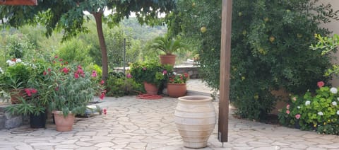 Garden, Balcony/Terrace