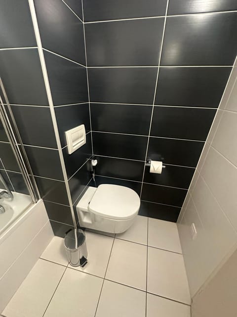 Toilet, TV and multimedia