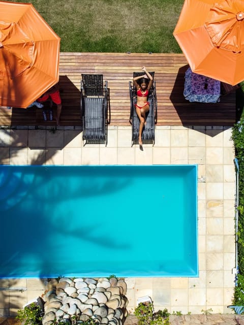 Garden, Pool view, Swimming pool