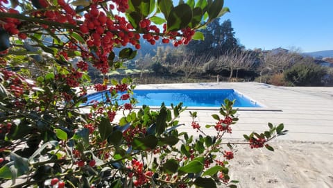 Day, Natural landscape, Pool view, Swimming pool