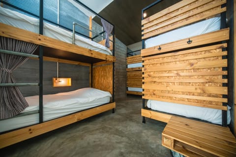 Bed, Photo of the whole room, Bedroom, bunk bed