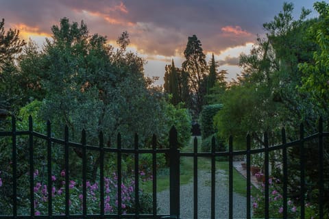 Garden view, Sunset