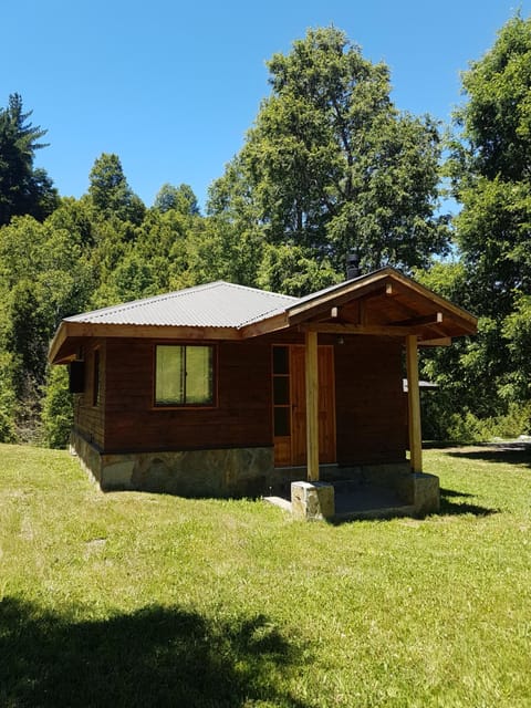 Patio, Off site, Day, Summer, Garden, Garden view