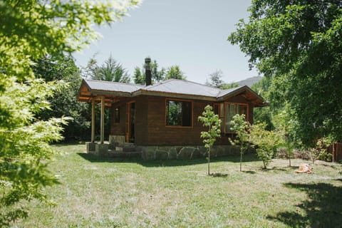 Property building, Summer, Garden, Garden view