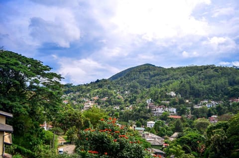 City view, Mountain view