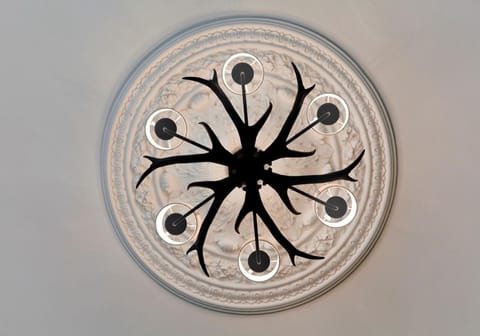 Bed, Living room, Decorative detail, Dining area, Bedroom, Guests, children, group of guests, Family