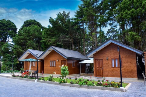 Property building, Bird's eye view, Other, Photo of the whole room, Garden view