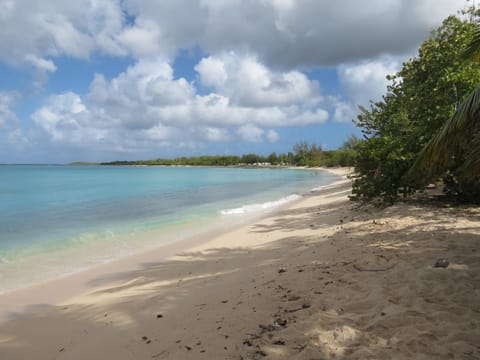 Nearby landmark, Natural landscape, Beach