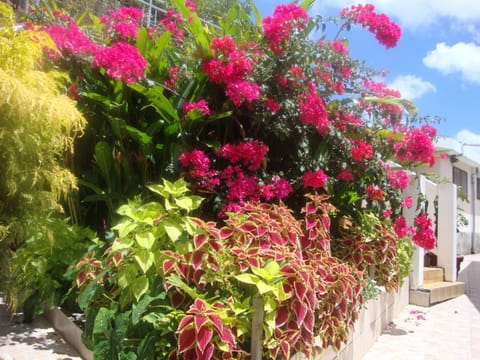 Garden, Garden view