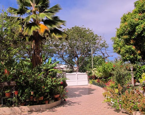 Facade/entrance, Garden, View (from property/room), Garden view