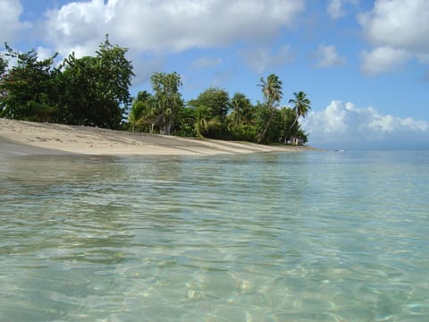 Day, Natural landscape, Beach