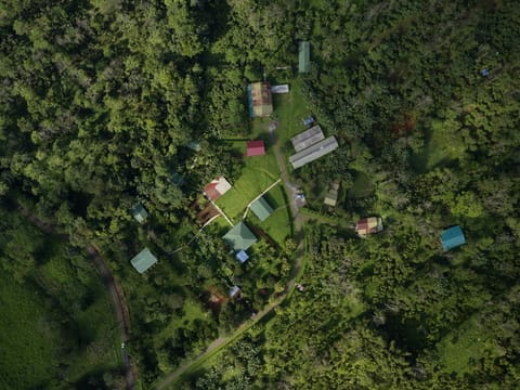 Finca Amistad Cacao Lodge Capanno nella natura in Alajuela Province