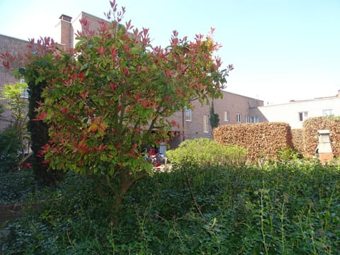 Garden, Garden view