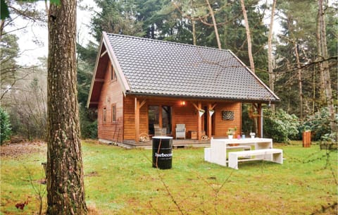 Boshuisje Veluwe Goudplevier Maison in Overijssel (province)