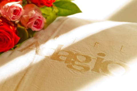 Bed, Property logo or sign, Decorative detail, Bedroom