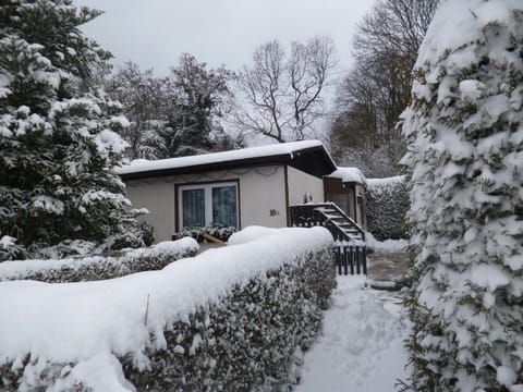 Property building, Winter