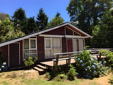 Property building, Garden view