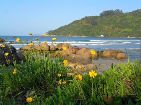 Natural landscape, Beach