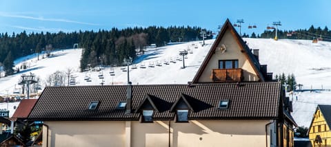 Ski&Spa Zieleniec Resort in Lower Silesian Voivodeship