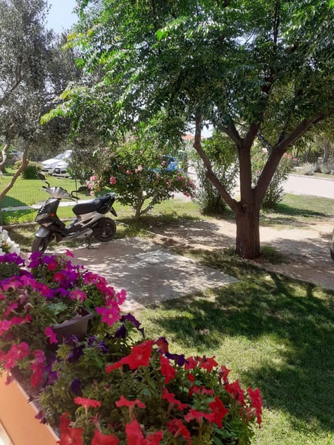 Natural landscape, Garden