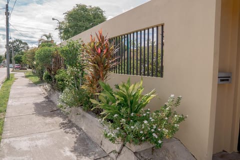 Garden, Street view