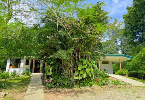 Property building, Natural landscape, Garden view